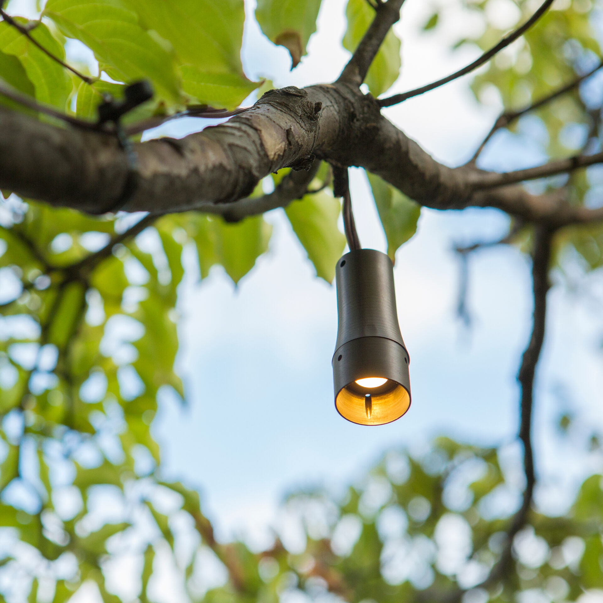 Downlighting. Related